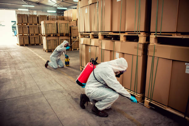 Best Pest Inspection Near Me  in Bayou Vista, TX