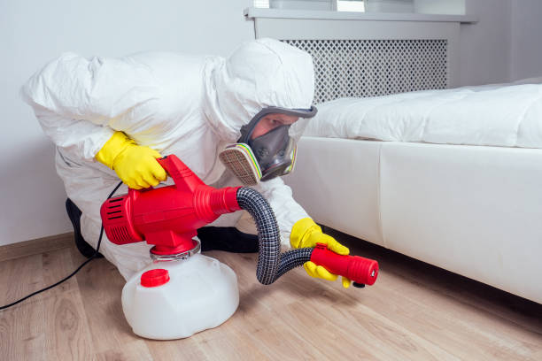 Best Mosquito Control Services  in Bayou Vista, TX