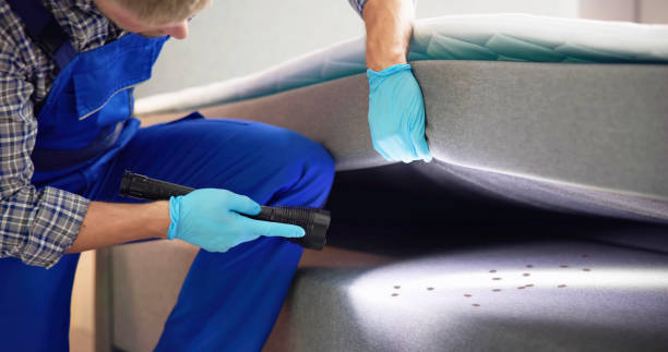 Best Pest Removal Services  in Bayou Vista, TX