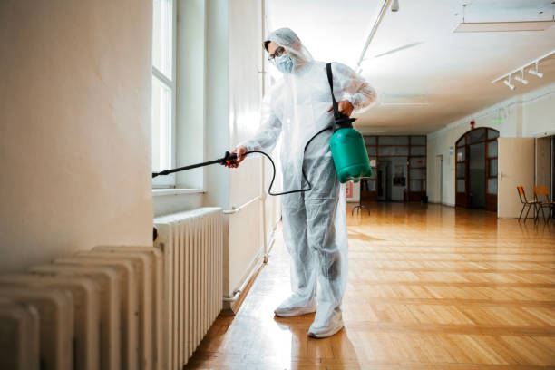 Best Best Pest Control Companies  in Bayou Vista, TX