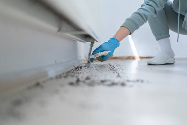 Best Commercial Pest Control Services  in Bayou Vista, TX